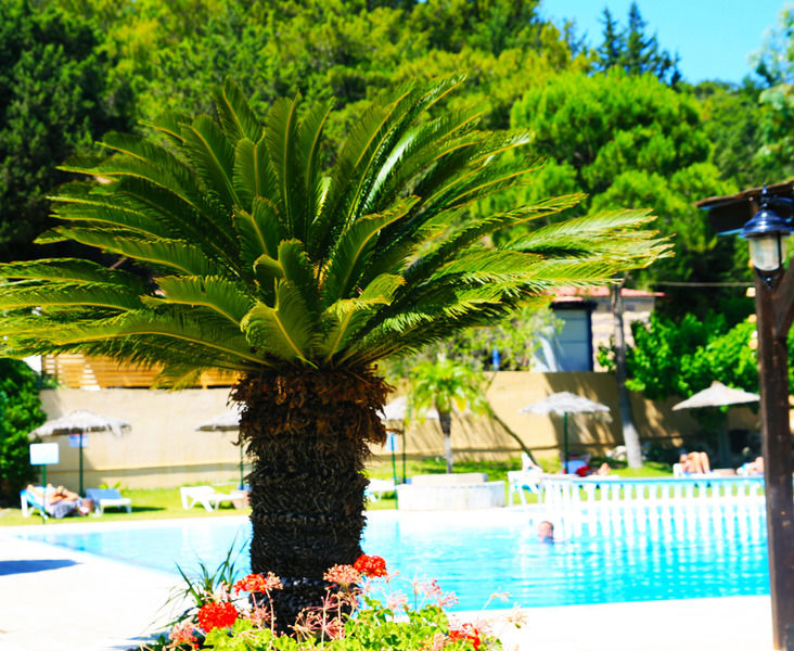 Achousa Hotel 팔리라키 외부 사진